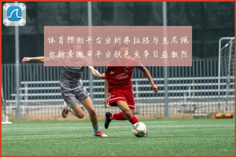 体育预测平台分析弗拉格与克尼佩尔新秀概率平分秋色竞争日益激烈