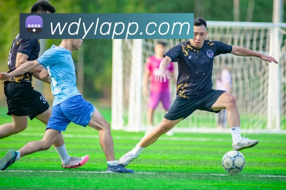 问鼎娱乐APP服务体系